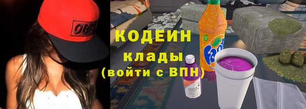 молекула духа Кодинск