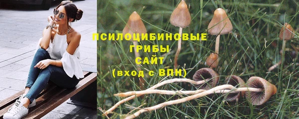 ПСИЛОЦИБИНОВЫЕ ГРИБЫ Коряжма