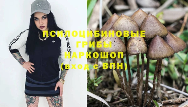 экстази Козельск
